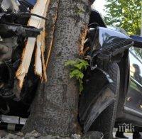 Кола се удари с бясна скорост в дърво и се разцепи на две край Благоевград, има загинал (СНИМКА)