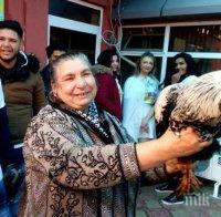 ГОЛЯМА ДРАМА: Няма пари за петела на Банго Васил