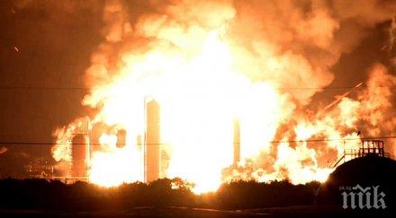 пожар изпепели маймуните зоопарк