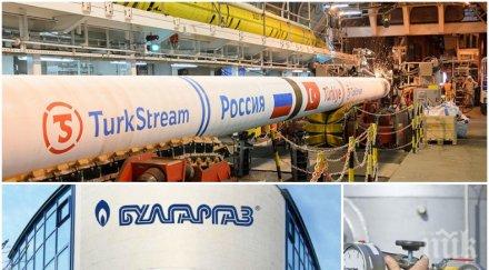 ексклузивно пик българия започва получава газ турски поток
