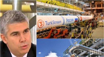 шефът булгартрансгаз добри новини турски поток отрази българина