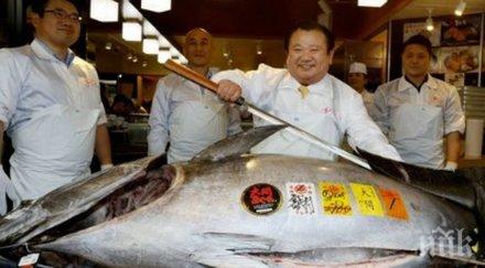 търг токио продадоха риба тон млн долара