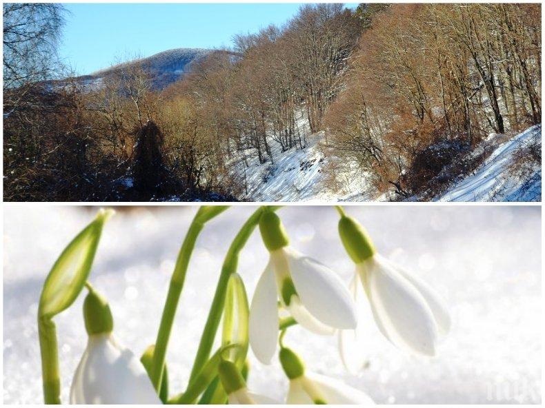 ПРОЛЕТ ПО НИКОЕ ВРЕМЕ: Голям Сечко не спира да ни изненадва - температурите днес стигат до... (КАРТА)
