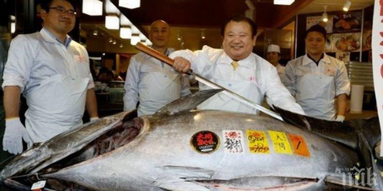 На търг в Токио продадоха риба тон за 1,8 млн. долара