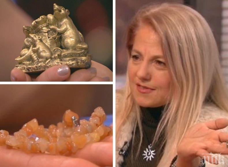 Каква ще е годината на Металния плъх според роден фън шуй консултант