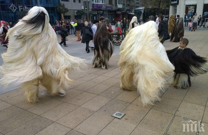 Над 100 кукери гонят злите сили на Нова година в пазарджишкото село Варвара
