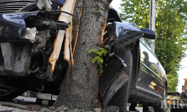 ТРАГЕДИЯ НА ПЪТЯ: Тийнейджър се размаза с колата си в дърво