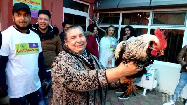 ГОЛЯМА ДРАМА: Няма пари за петела на Банго Васил