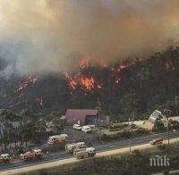 Премиерът на Великобритания предложи помощ на Австралия за справяне с горските пожари