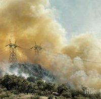 ГЛОБАЛНА КАТАСТРОФА: Димът от пожарите в Австралия стигна до... Южна Америка