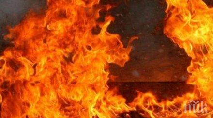 фас взе живота дядо друг болница обгазен пожар