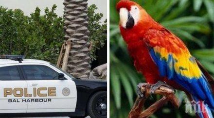 хит папагал вдигна крак полицията флорида видео