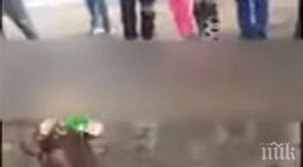 скандално цигани дават алкохол бебе гледат сеира видео