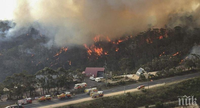 Премиерът на Великобритания предложи помощ на Австралия за справяне с горските пожари