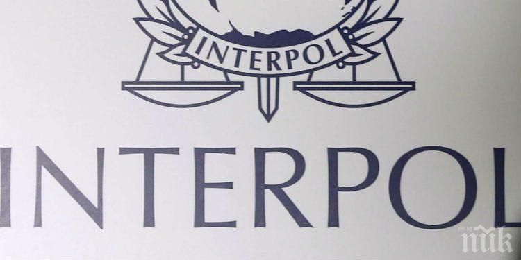 Във Варна задържаха опасен турчин, издирван с червен бюлетин от Интерпол