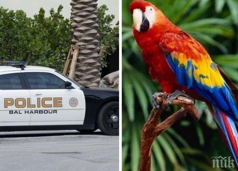 Хит: Папагал вдигна на крак полицията във Флорида (ВИДЕО)