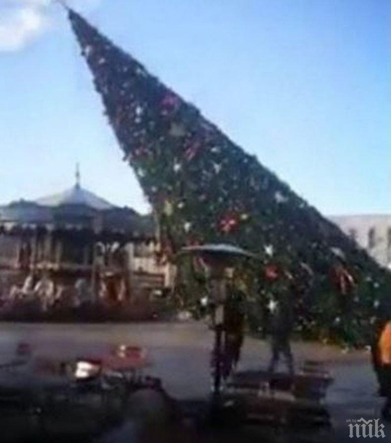 Силен вятър събори новогодишната елха в Тирана