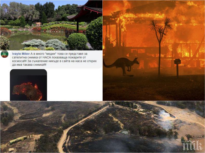 ДРУГАТА ИСТИНА: Българи в Австралия обявяват пожарите за преекспонирани - ето какво пишат от първо лице 