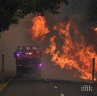 Властите в Австралия признаха за грешки в борбата с огнения ад