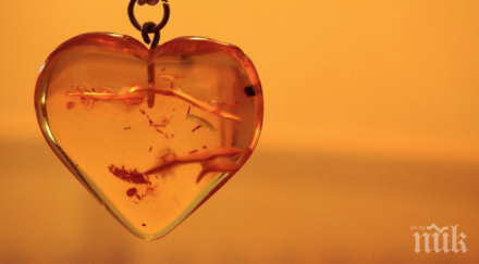 слуз 100 милиона години беше открита кехлибар