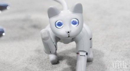 китайска компания показа робо котка