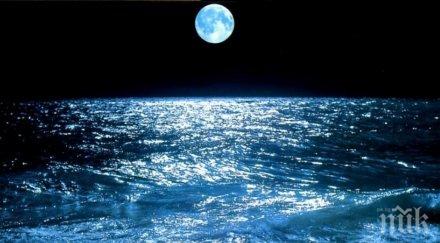 тревога температурата океаните рекордно висока