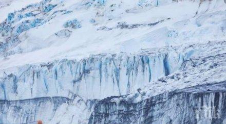 видове животни растения появят антарктида близките години