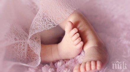 посолството берлин пое случая отнетото бебе