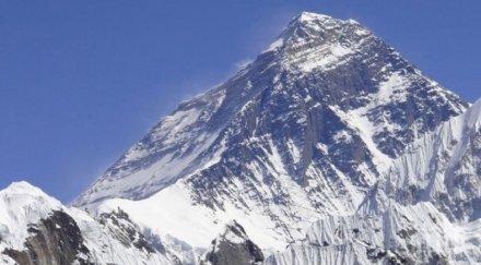 учени откриха растения високите склонове еверест