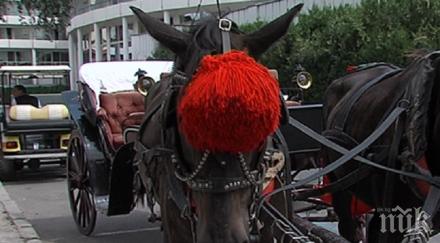 огнена атака файтонджия несебър