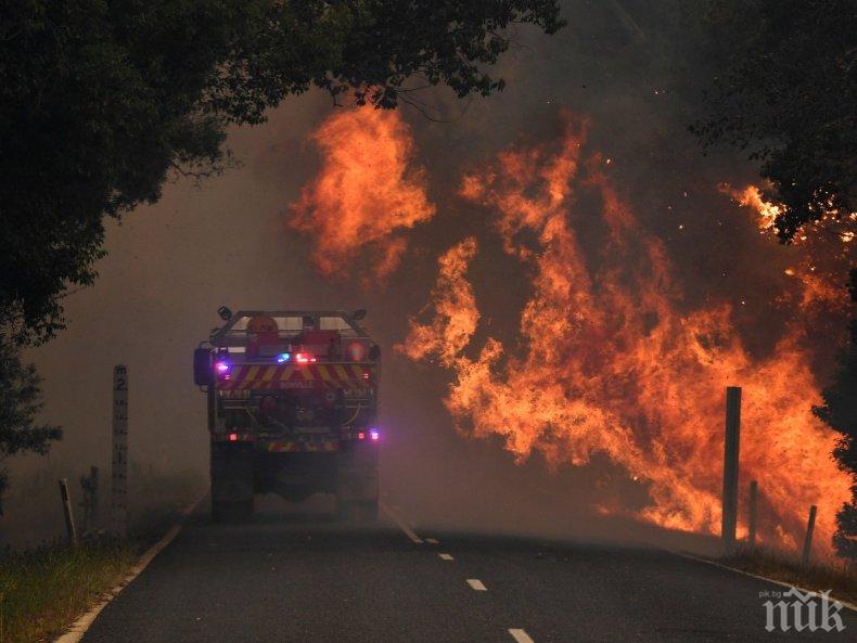 Австралия се бори с нов мега пожар - над 600 хиляди хектара горят