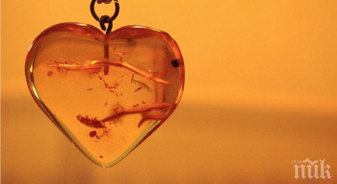 Слуз на 100 милиона години беше открита в кехлибар