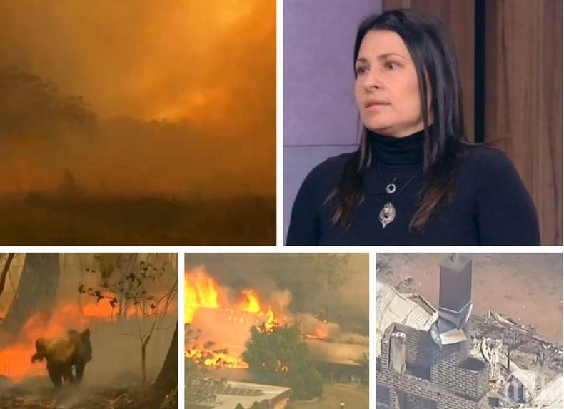 Климатолог разкри защо се стигна до климатичната криза и вълната от пожари в Австралия