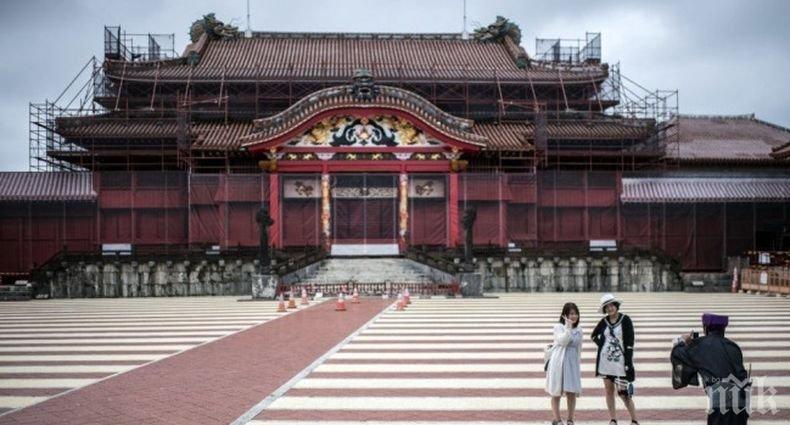 Японската префектура Окинава е рекордьор по столетници