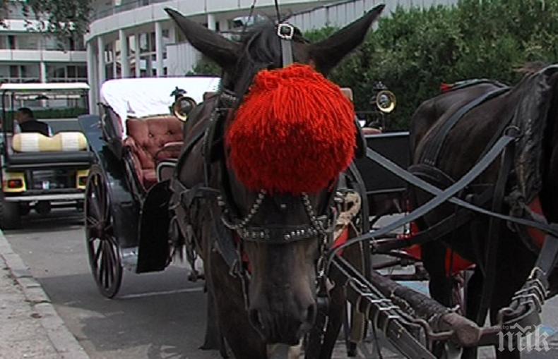 Огнена атака срещу файтонджия в Несебър