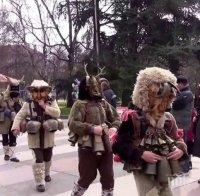 Сурвакари дефилират в Радомир и Брезник