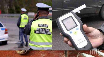 надрусани шофьори сеят смърт пловдив случи