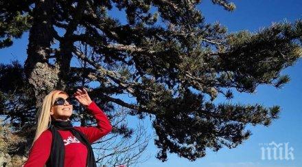 страст нелина катери чукари