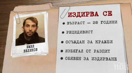 разград дирят дърво камък наглия рецидивист емил