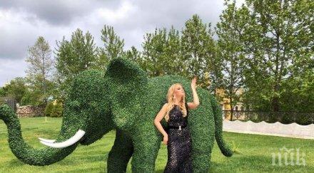 соня немска подари пътуване доминикана