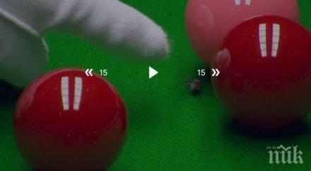 нахална муха прекъсна мач снукър