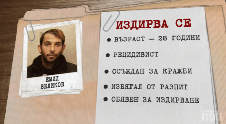 В Разград дирят под дърво и камък наглия рецидивист Емил
