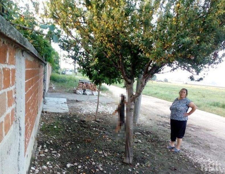 ПОДИГРАВКА: Глобиха 100 лева циганката Анка от Раковски, която обеси кучето си 