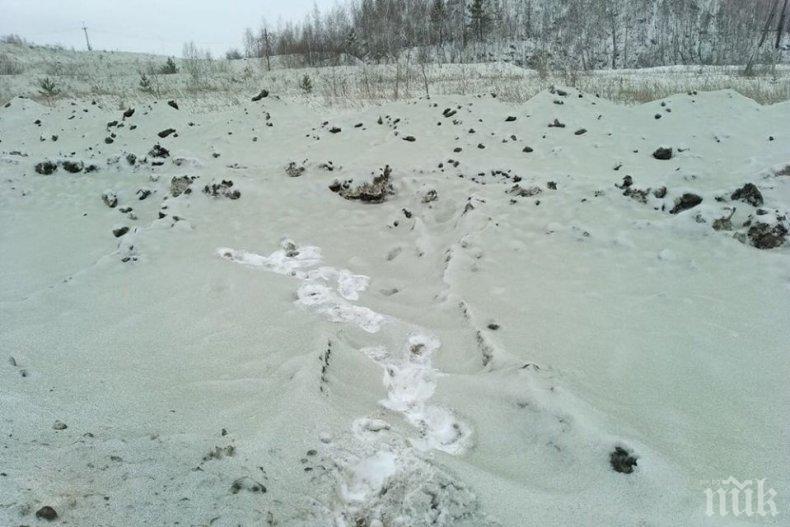 ФЕНОМЕН ИЛИ ОПАСНОСТ? Зелен сняг наваля в Русия