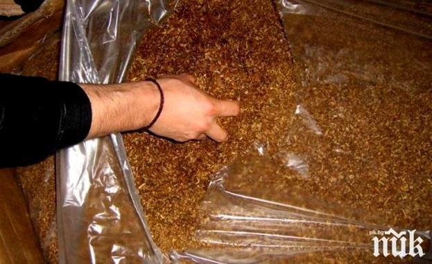 Плевенските полицаи иззеха 110 килограма нелегален тютюн