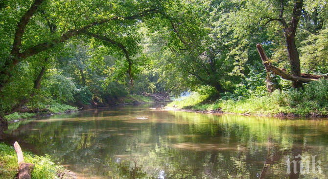 Прокуратурата в Плевен се самосезира за замърсяване на река Осъм
