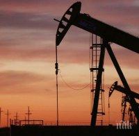 Беларус закупи 80 000 тона норвежки нефт