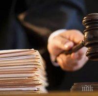 Германски съд гледа делото за отнетото от социалните служби българче