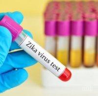 СЕНЗАЦИЯ: Смъртоносният вирус Зика унищожава и ракови клетки