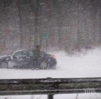 Жертвите на зимната буря 